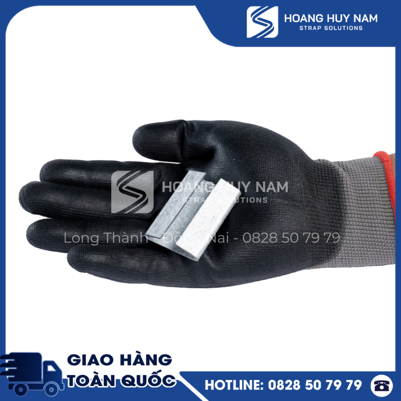 BỌ SẮT HỞ